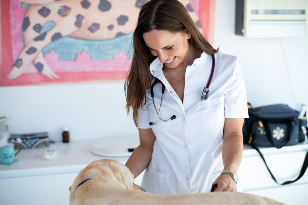 arabella burgers 3147