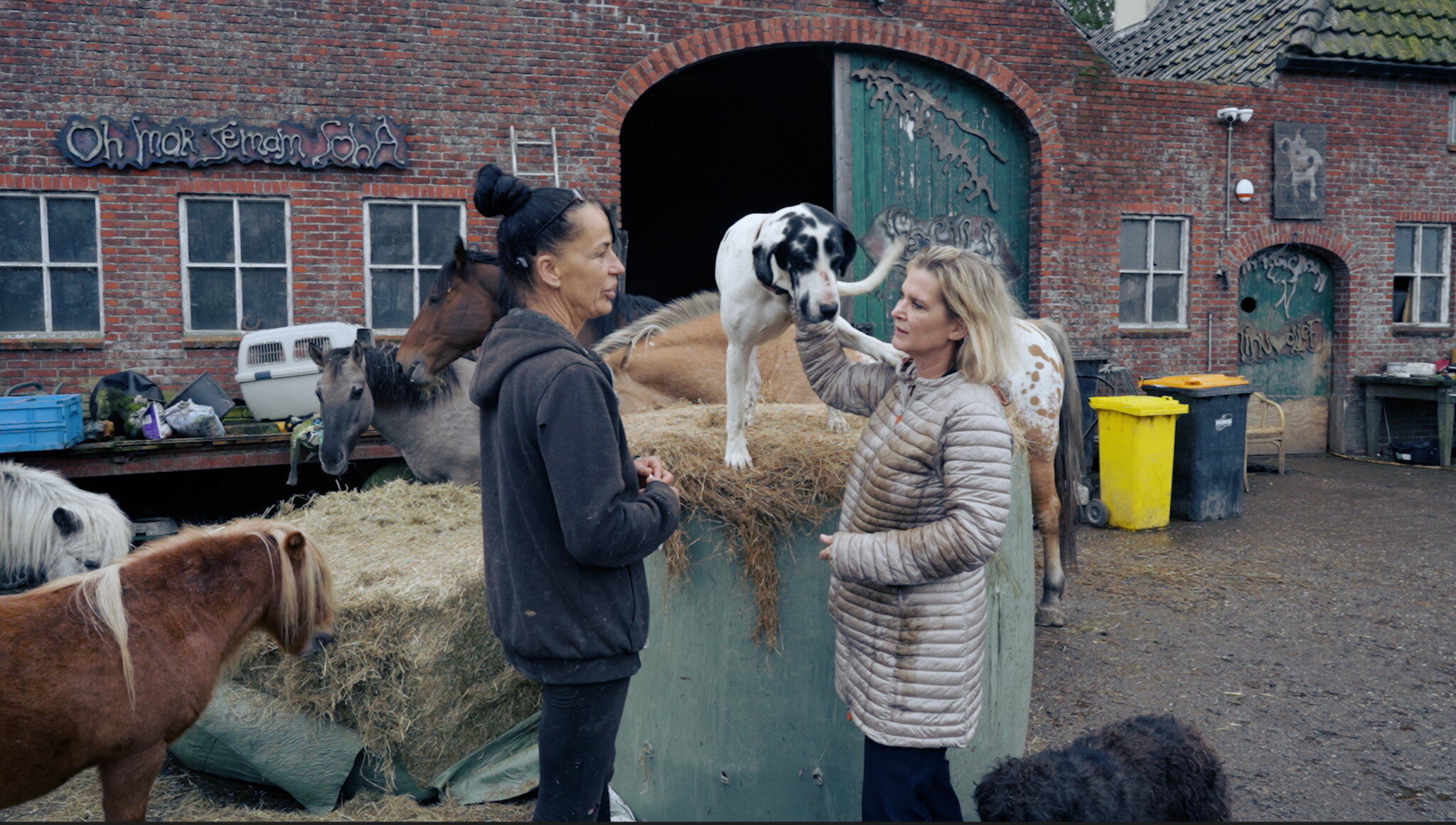 animalstoday pascale plusquin bij norma miedema 2 2048x1160