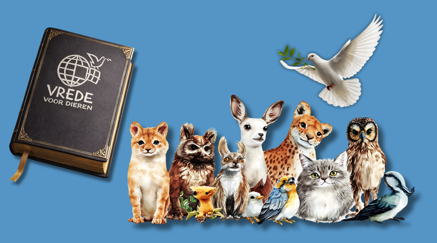 45 standpunten vrede voor dieren